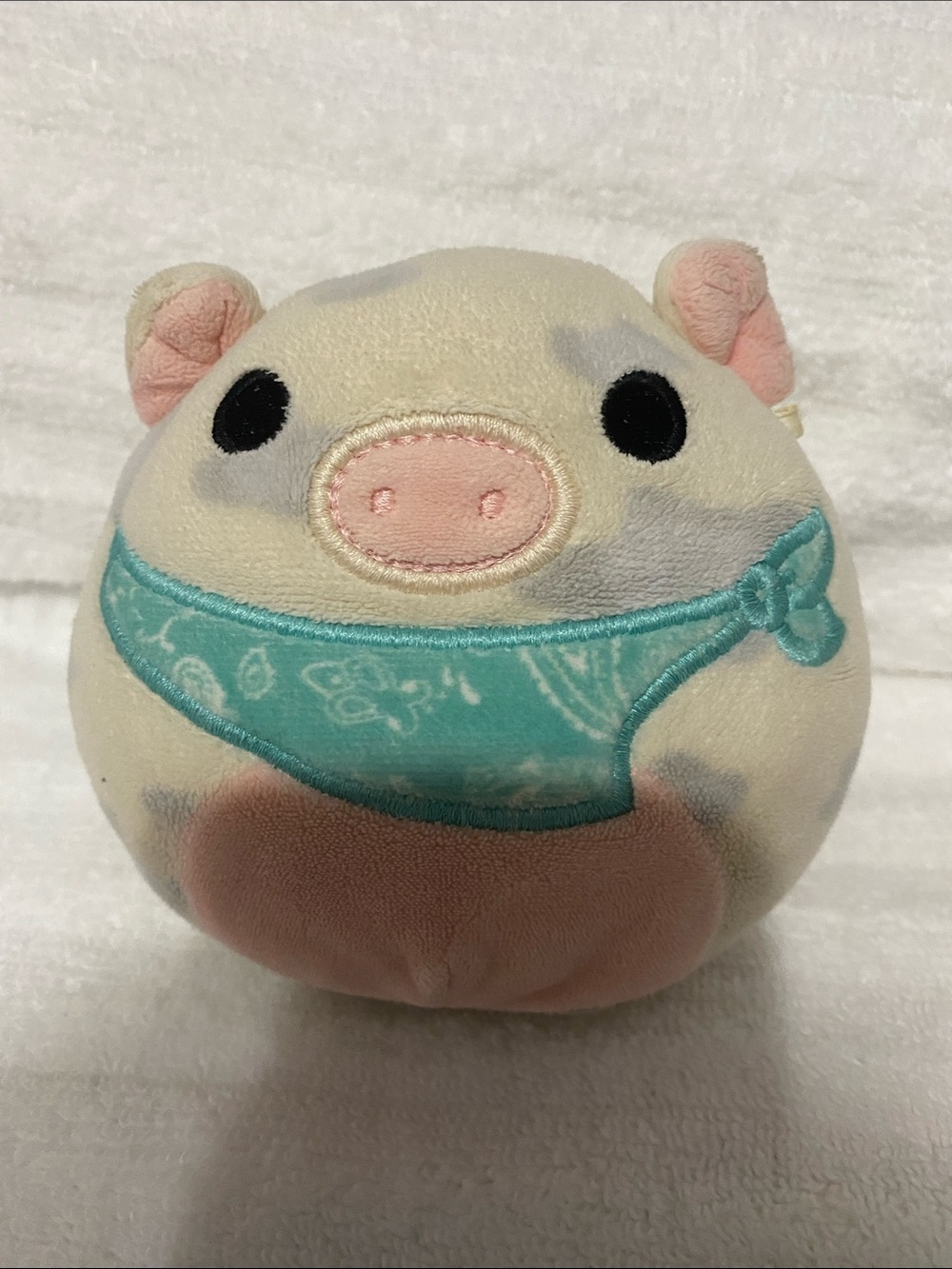 Rosie the spotted Pig wearing a distinctive turquoise bandana.